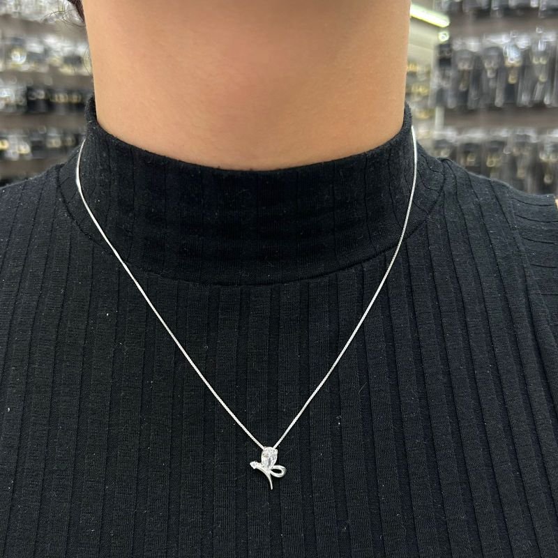 Conjunto Libélula Prata 925